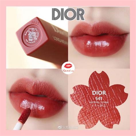 dior 541